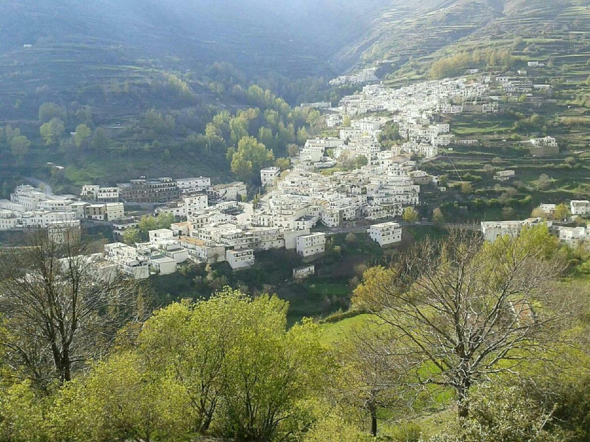 Apartamentos Casa Fermina - A 2 Horas De Las Pistas De Esqui Trevelez Bagian luar foto