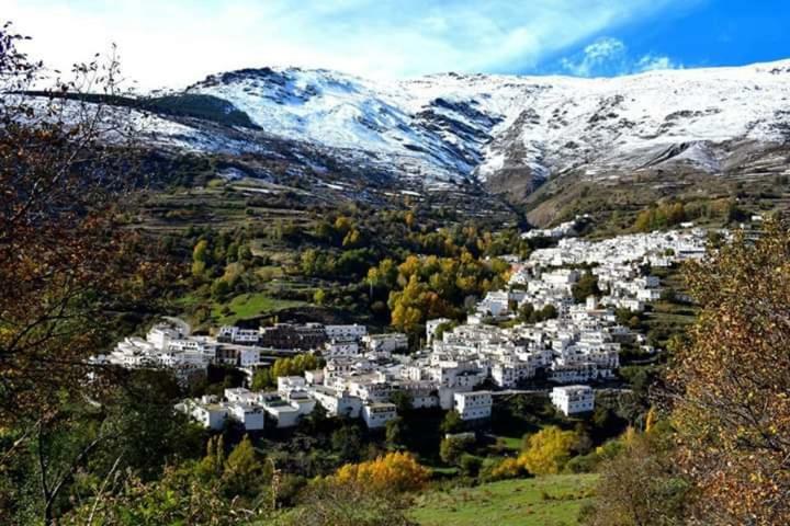 Apartamentos Casa Fermina - A 2 Horas De Las Pistas De Esqui Trevelez Bagian luar foto